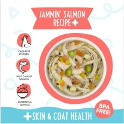Weruva Meals 'n More Natural Wet Dog Food, Jammin' Salmon Plus Skin & Coat Health, 3.5-oz Cup, 12 Count -Cozy Paws 578398 PT2. AC SS1800 V1695843889