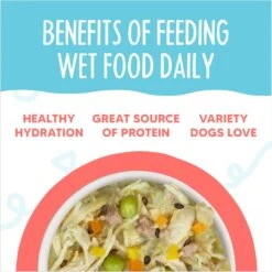 Weruva Meals 'n More Natural Wet Dog Food, Jammin' Salmon Plus Skin & Coat Health, 3.5-oz Cup, 12 Count -Cozy Paws 578398 PT5. AC SS1800 V1695843948