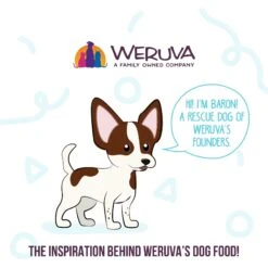 Weruva Meals 'n More Natural Wet Dog Food, Jammin' Salmon Plus Skin & Coat Health, 3.5-oz Cup, 12 Count -Cozy Paws 578398 PT7. AC SS1800 V1695756648