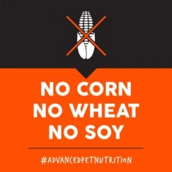 Ultimates Adult Large Breed Chicken Meal & Rice Flavored Dry Dog Food -Cozy Paws 579182 PT5. AC SS1800 V1680811851