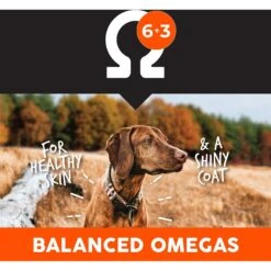 Ultimates Adult Large Breed Chicken Meal & Rice Flavored Dry Dog Food -Cozy Paws 579182 PT6. AC SS1800 V1680811850