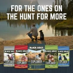Black Gold Explorer Super Performance Formula 32/21 Dry Dog Food, 40-lb Bag -Cozy Paws 579774 PT7. AC SS1800 V1658194242