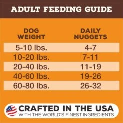 Primal Beef Formula Nuggets Grain-Free Raw Freeze-Dried Dog Food -Cozy Paws 58371 PT6. AC SS1800 V1677707414