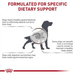 Royal Canin Veterinary Diet Adult Gastrointestinal Moderate Calorie Dry Dog Food -Cozy Paws 58686 PT4. AC SS1800 V1691702091