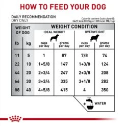 Royal Canin Veterinary Diet Adult Gastrointestinal Moderate Calorie Dry Dog Food -Cozy Paws 58686 PT6. AC SS1800 V1691506494