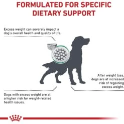 Royal Canin Veterinary Diet Adult Satiety Support Weight Management Dry Dog Food -Cozy Paws 58750 PT2. AC SS1800 V1661829596