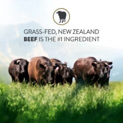 Addiction Steakhouse Beef & Zucchini Entree Raw Dehydrated Dog Food -Cozy Paws 60118 PT3. AC SS1800 V1637714486