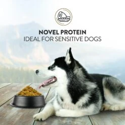 Addiction Perfect Summer Brushtail Raw Dehydrated Dog Food -Cozy Paws 60120 PT4. AC SS1800 V1637709995