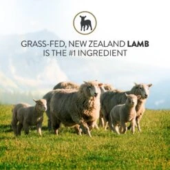 Addiction Herbed Lamb & Potatoes Raw Dehydrated Dog Food -Cozy Paws 60125 PT3. AC SS1800 V1637710908