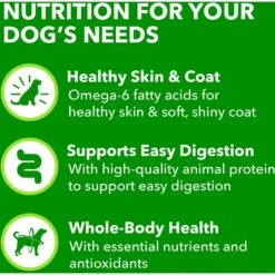 Iams ProActive Health Classic Ground With Lamb & Whole Grain Rice Adult Wet Dog Food 18 Iams ProActive Health Classic Ground With Lamb & Whole Grain Rice Adult Wet Dog Food -Cozy Paws 604318 PT7. AC SS1800 V1658187318