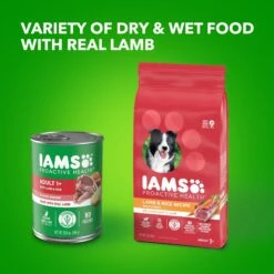 Iams ProActive Health Classic Ground With Lamb & Whole Grain Rice Adult Wet Dog Food 19 Iams ProActive Health Classic Ground With Lamb & Whole Grain Rice Adult Wet Dog Food -Cozy Paws 604318 PT8. AC SS1800 V1658187319