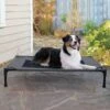 K&H Pet Products Original Pet Cot Elevated Dog Bed 2 K&H Pet Products Original Pet Cot Elevated Dog Bed -Cozy Paws 611958 MAIN. AC SS1800 V1696351195