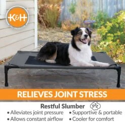 K&H Pet Products Original Pet Cot Elevated Dog Bed -Cozy Paws 611958 PT5. AC SS1800 V1659484089