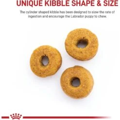 Royal Canin Breed Health Nutrition Labrador Retriever Puppy Dry Dog Food -Cozy Paws 61486 PT3. AC SS1800 V1697216753