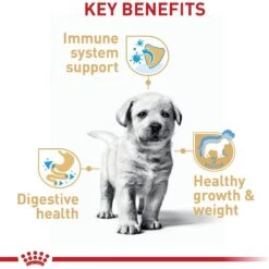 Royal Canin Breed Health Nutrition Labrador Retriever Puppy Dry Dog Food -Cozy Paws 61486 PT4. AC SS1800 V1697213153