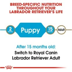 Royal Canin Breed Health Nutrition Labrador Retriever Puppy Dry Dog Food -Cozy Paws 61486 PT7. AC SS1800 V1697212824