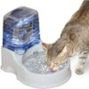 K&H Pet Products CleanFlow Filtered Water Dog Bowl, Small, 80-oz Bowl + 90-oz Reservoir -Cozy Paws 61705 MAIN. AC SS1800 V1637628248
