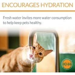 K&H Pet Products CleanFlow Filtered Water Dog Bowl, Small, 80-oz Bowl + 90-oz Reservoir 13 K&H Pet Products CleanFlow Filtered Water Dog Bowl, Small, 80-oz Bowl + 90-oz Reservoir -Cozy Paws 61705 PT3. AC SS1800 V1637627797