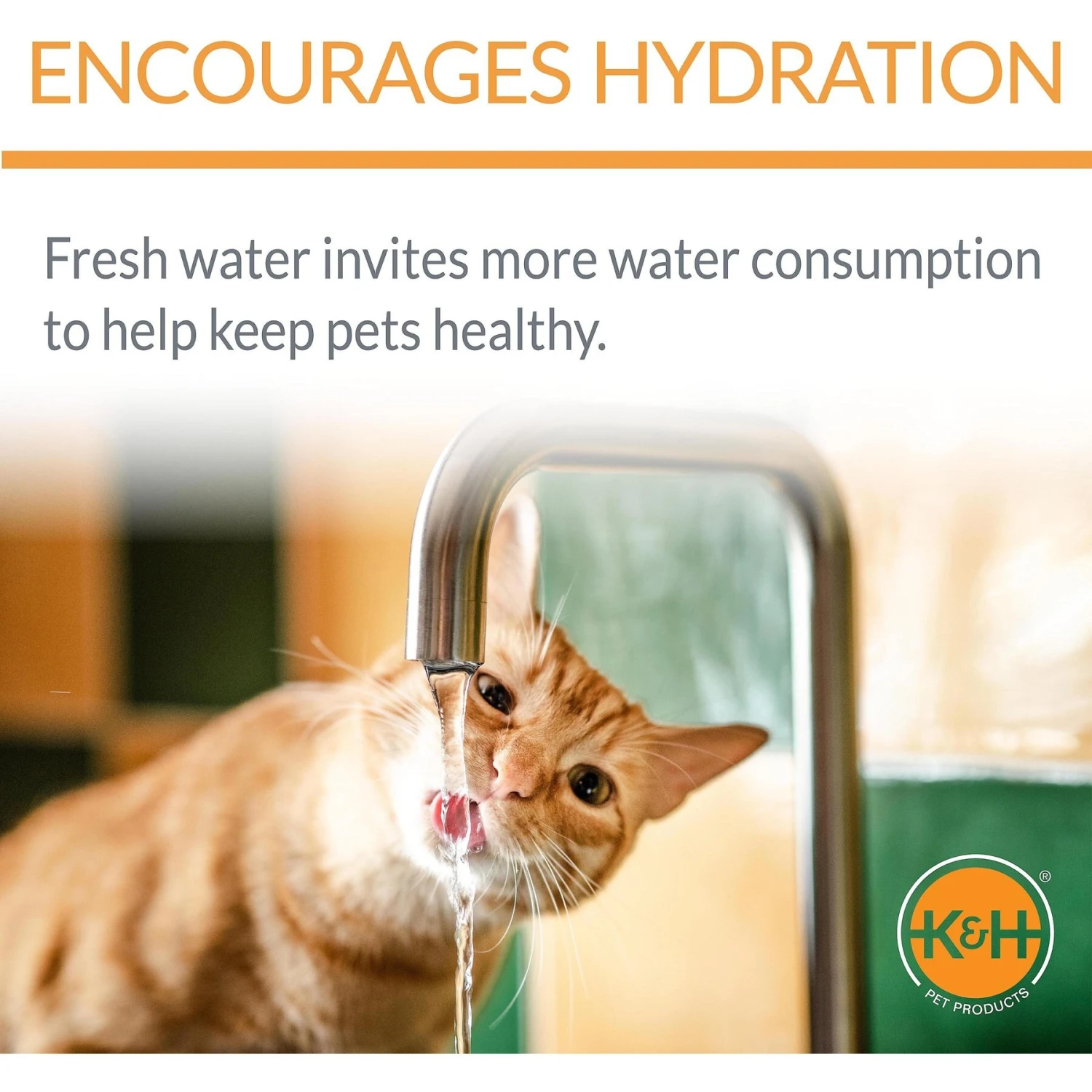 K&H Pet Products CleanFlow Filtered Water Dog Bowl, Small, 80-oz Bowl + 90-oz Reservoir 6 K&H Pet Products CleanFlow Filtered Water Dog Bowl, Small, 80-oz Bowl + 90-oz Reservoir - Image 4