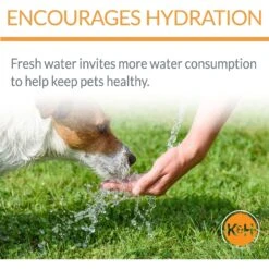 K&H Pet Products CleanFlow Filtered Water Dog Bowl 13 K&H Pet Products CleanFlow Filtered Water Dog Bowl -Cozy Paws 61715 PT3. AC SS1800 V1637624815