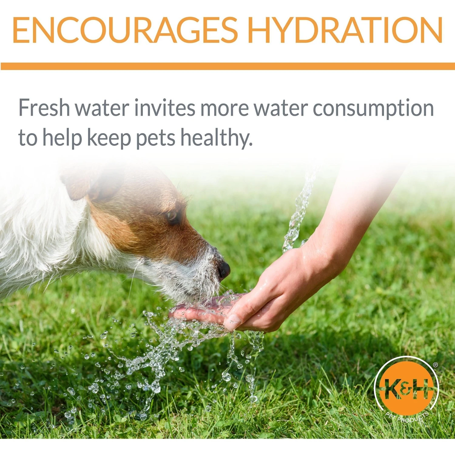 K&H Pet Products CleanFlow Filtered Water Dog Bowl 6 K&H Pet Products CleanFlow Filtered Water Dog Bowl - Image 4