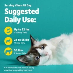 Vibeful Dental Health Chicken Flavored Powder Dental Supplement For Dogs & Cats -Cozy Paws 617222 PT5. AC SS1800 V1674656201