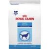 Royal Canin Veterinary Diet Adult Large Dog Dry Dog Food -Cozy Paws 61785. AC SS1800 V1460478784
