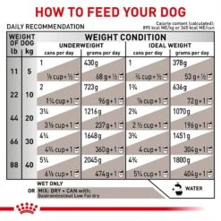 Royal Canin Veterinary Diet Adult Gastrointestinal Low Fat Loaf Canned Dog Food -Cozy Paws 61822 PT7. AC SS1800 V1701366036