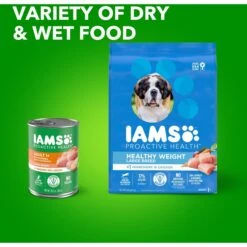 Iams Proactive Health Healthy Weight Management Large Breed Low Fat Formula With Real Chicken Adult Dry Dog Food -Cozy Paws 62261 PT8. AC SS1800 V1667863606