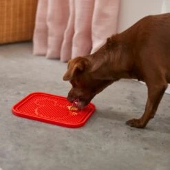 Disney Mickey Silicone Dog & Cat Lick Mat & Disney Mickey Silicone Dog & Cat Lick Mat -Cozy Paws 623358 PT3. AC SS1800 V1661895905