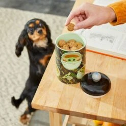STAR WARS THE MANDALORIAN THE CHILD Aurebesh Ceramic Treat Jar & STAR WARS THE MANDALORIAN GROGU AUREBESH Non-Skid Stainless Steel With Melamine Stand Dog & Cat Bowl -Cozy Paws 623382 PT3. AC SS1800 V1661896215