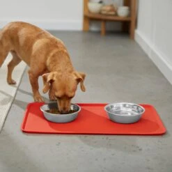 Disney Mickey Silicone Dog & Cat Food Mat & Disney Mickey Mouse Red Deco No-Skid Ceramic Dog & Cat Bowl 13 Disney Mickey Silicone Dog & Cat Food Mat & Disney Mickey Mouse Red Deco No-Skid Ceramic Dog & Cat Bowl -Cozy Paws 623462 PT3. AC SS1800 V1661896217