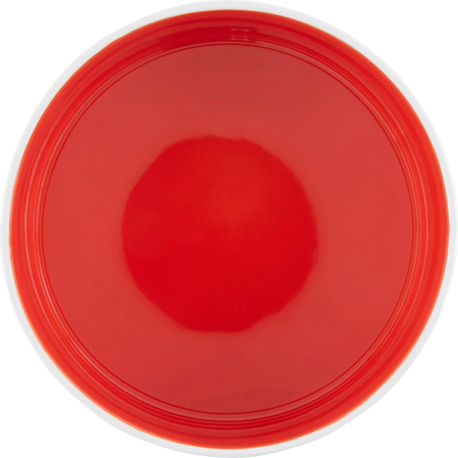 Disney Mickey Silicone Dog & Cat Food Mat & Disney Mickey Mouse Red Deco No-Skid Ceramic Dog & Cat Bowl 10 Disney Mickey Silicone Dog & Cat Food Mat & Disney Mickey Mouse Red Deco No-Skid Ceramic Dog & Cat Bowl - Image 8