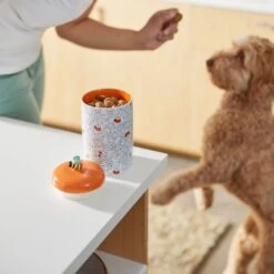 Disney Table Scraps Winnie The Pooh Organic Honey Roasted Turkey Recipe Dog Treats, 5-oz Bag & Disney Winnie The Pooh Orange Ceramic Dog & Cat Treat Jar -Cozy Paws 623486 PT8. AC SS1800 V1662040078