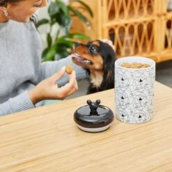 Disney Table Scraps Mickey Mouse Hot Diggity Dog Recipe Upcycled Jerky Dog Treats, 5-oz Bag & Disney Mickey Lines Ceramic Treat Jar -Cozy Paws 623494 PT7. AC SS1800 V1661896454