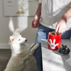 Disney Table Scraps Mickey Mouse Hot Diggity Dog Recipe Upcycled Jerky Dog Treats, 5-oz Bag & Disney Mickey Mouse Ceramic Dog & Cat Treat Jar -Cozy Paws 623510 PT8. AC SS1800 V1661896152