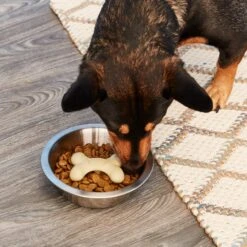 Loving Pets Gobble Stopper Slow Feeder -Cozy Paws 62388 PT1. AC SS1800 V1545319728