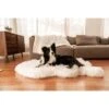 PawBrands PupRug Faux Fur Orthopedic Dog Bed -Cozy Paws 625222 MAIN. AC SS1800 V1661277703