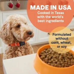 CANIDAE All Life Stages Lamb Meal & Rice Formula Dry Dog Food -Cozy Paws 62600 PT4. AC SS1800 V1694442929