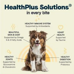 CANIDAE All Life Stages Lamb Meal & Rice Formula Dry Dog Food -Cozy Paws 62600 PT6. AC SS1800 V1694442930