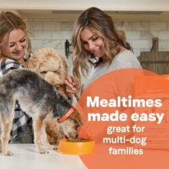 CANIDAE All Life Stages Lamb Meal & Rice Formula Dry Dog Food -Cozy Paws 62600 PT7. AC SS1800 V1694443045