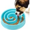 SunGrow Puzzle Cat, Dog & Small-Pet Maze Feeder & Water Bowl -Cozy Paws 629262 MAIN. AC SS1800 V1678828133