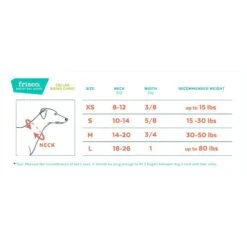 Frisco Plush Orthopedic Pillowtop Dog Bed W/Removable Cover + 4 Items -Cozy Paws 630910 PT6. AC SS1800 V1662742980