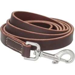 Frisco Top Grain Leather Leash + 4 Items -Cozy Paws 630958 PT3. AC SS1800 V1662739527
