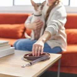 Frisco Top Grain Leather Leash + 4 Items -Cozy Paws 630958 PT4. AC SS1800 V1662742186