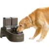 PetSafe Drinkwell Outdoor Plastic Dog & Cat Fountain