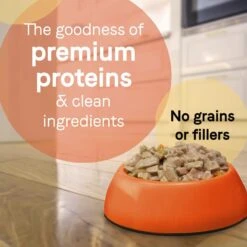 CANIDAE PURE Petite All Stages Small Breed Fricassee Style Dinner With Turkey & Green Beans Wet Dog Food Trays, 3.5-oz, Case Of 12 & CANIDAE PURE Petite All Stages Small Breed Terrine Style Dinner With Chicken & Peas Wet Dog Food Trays, 3.5-oz, Case Of 12 -Cozy Paws 632398 PT4. AC SS1800 V1663608859