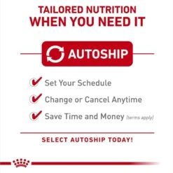 Royal Canin Canine Care Nutrition Medium Weight Care Adult Dry Dog Food -Cozy Paws 63250 PT4. AC SS1800 V1695218615