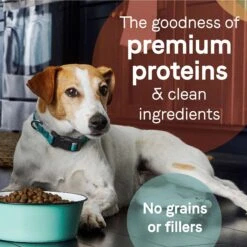 CANIDAE Grain-Free PURE Limited Ingredient Lamb, Goat & Venison Meals Recipe Dry Dog Food & CANIDAE Grain-Free PURE Limited Ingredient Salmon & Sweet Potato Recipe Dry Dog Food -Cozy Paws 632590 PT4. AC SS1800 V1684789734