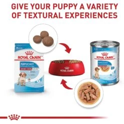 Royal Canin Size Health Nutrition Medium Puppy Dry Dog Food -Cozy Paws 63266 PT5. AC SS1800 V1697213803